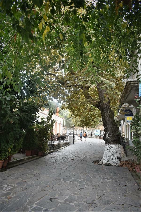 Christos Raches Traditional *